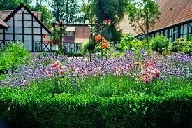 Lavender garden with colorful flowers and charming cottages in the background, showcasing idyllic British Columbia real estate.