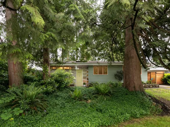 Lush greenery and mature trees surrounding a charming mid-century modern home in Vancouver, BC, showcasing natural landscaping and outdoor appeal, ideal for real estate listings.