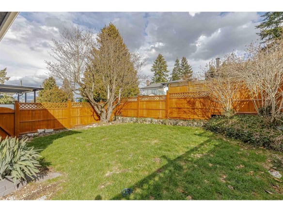 Lush backyard with vibrant green grass, mature trees, and a warm wooden privacy fence, perfect for family gatherings or outdoor relaxation in a peaceful neighbourhood.