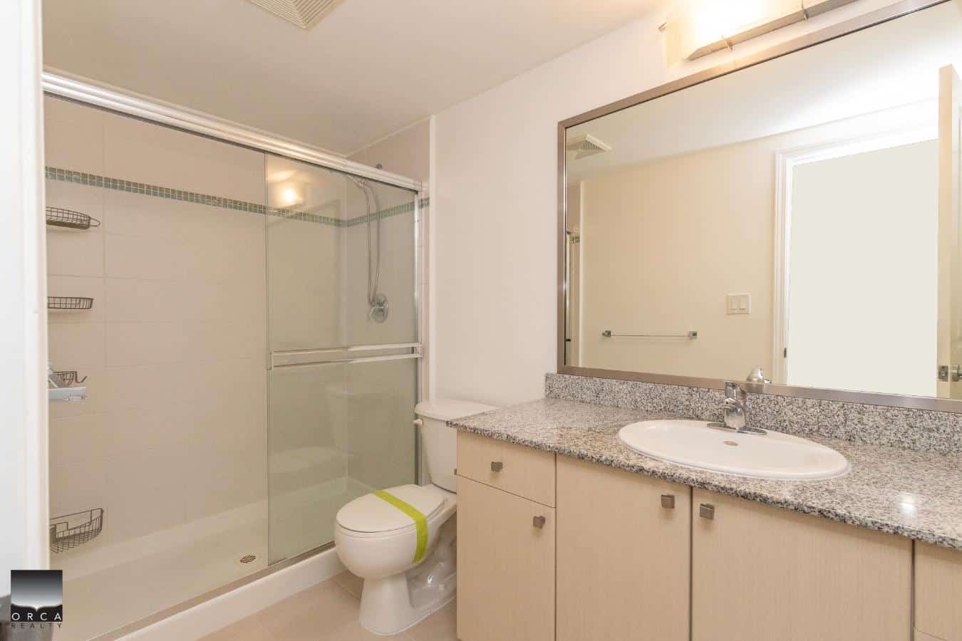 Bright bathroom with walk-in shower, granite countertop vanity, and modern fixtures, ideal for Vancouver Island real estate listings.