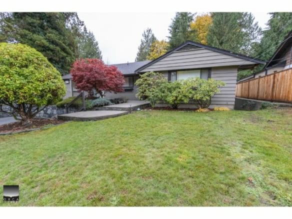 Lush backyard with well-maintained lawn and vibrant trees, perfect for outdoor living and entertaining in Vancouver’s residential real estate market.