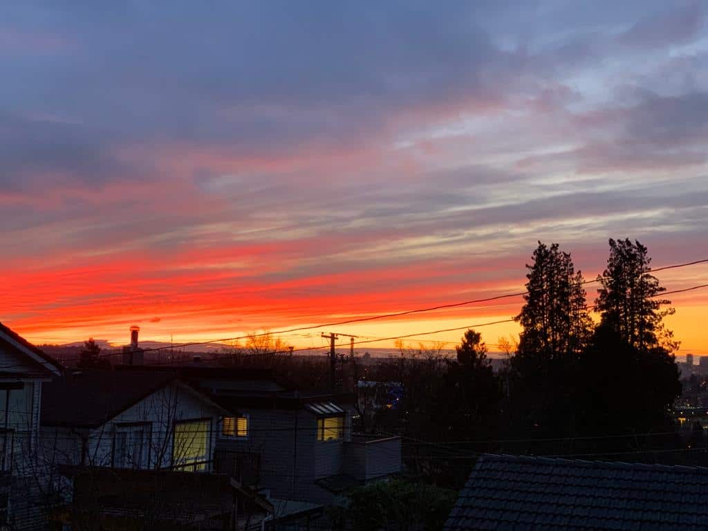 Vancouver sunset over residential neighbourhood with colourful sky and silhouette trees.