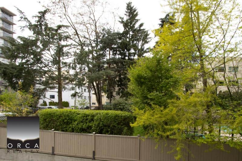 Lush green trees and foliage in an urban Vancouver residential neighborhood, showcasing outdoor greenery and natural surroundings.