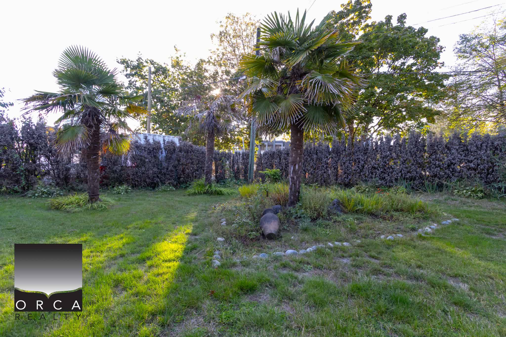 17 Lush tropical garden with palm trees and vibrant greenery, showcasing an outdoor space perfect for relaxing or entertaining, offered by Orca Realty Inc. in Vancouver, BC.