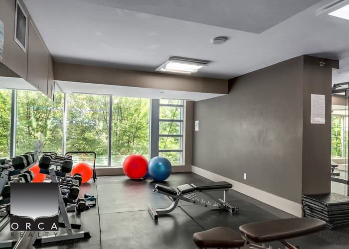 Modern gym interior with fitness equipment, exercise balls, and a scenic view of greenery through large windows, perfect for health-conscious clients and fitness-focused real estate listings.