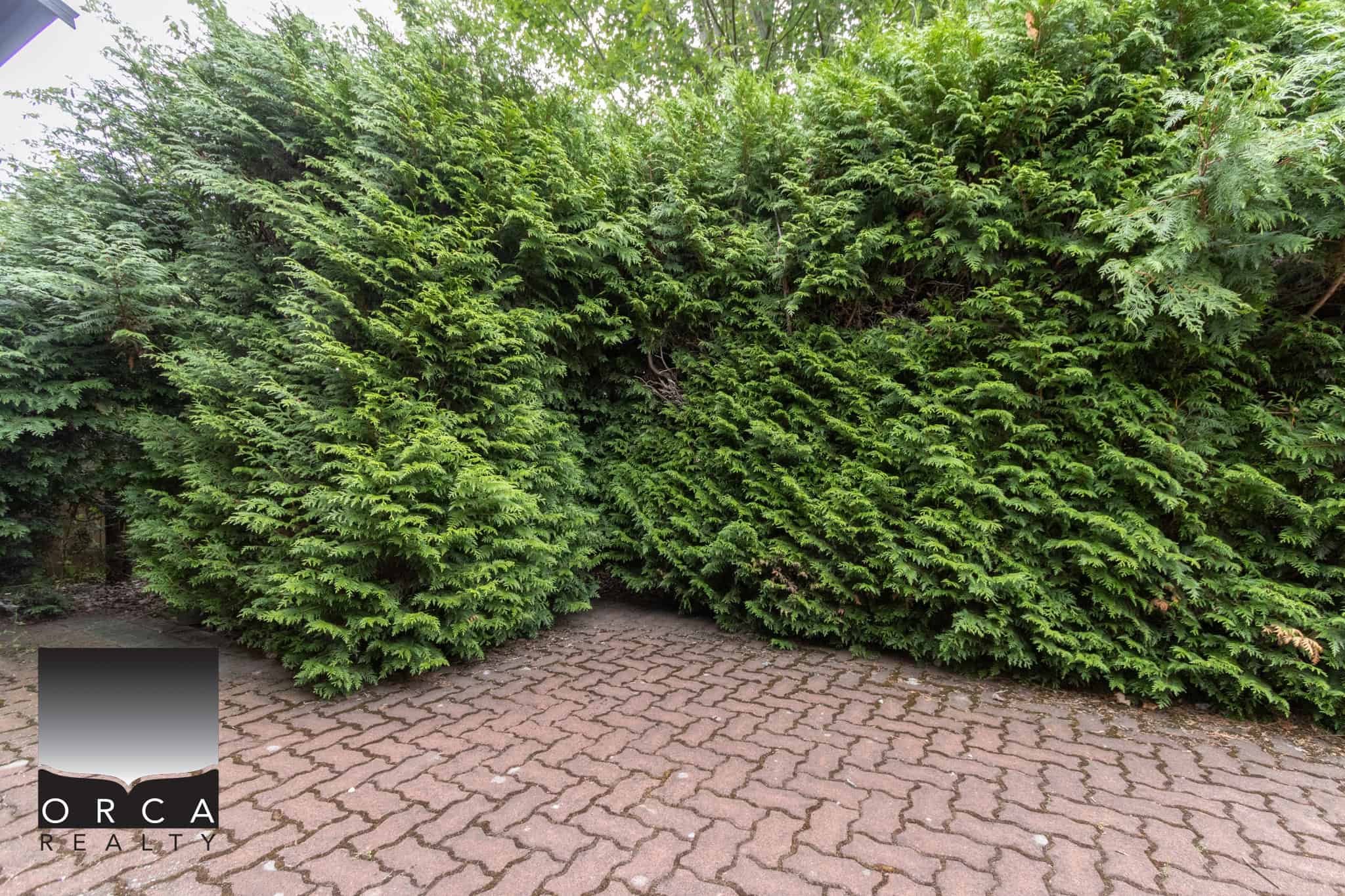 Lush green hedges lining a brick driveway, showcasing privacy and landscape design by Orca Realty Inc., expert in Vancouver Island real estate and property management.