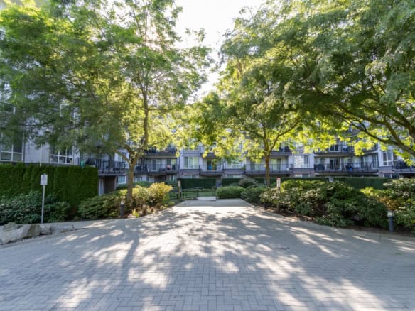 Lush green trees shading a paved walkway in a modern apartment complex, highlighting outdoor living spaces and vibrant landscaping. Perfect for those seeking quality rental or real estate opportunities in Vancouver.