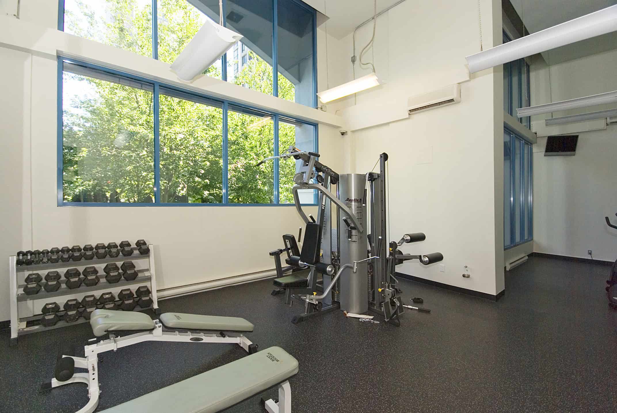 043 Modern fitness gym with weight equipment and large windows showcasing greenery, ideal for health-conscious clients and fitness enthusiasts in the Orca Realty service area.