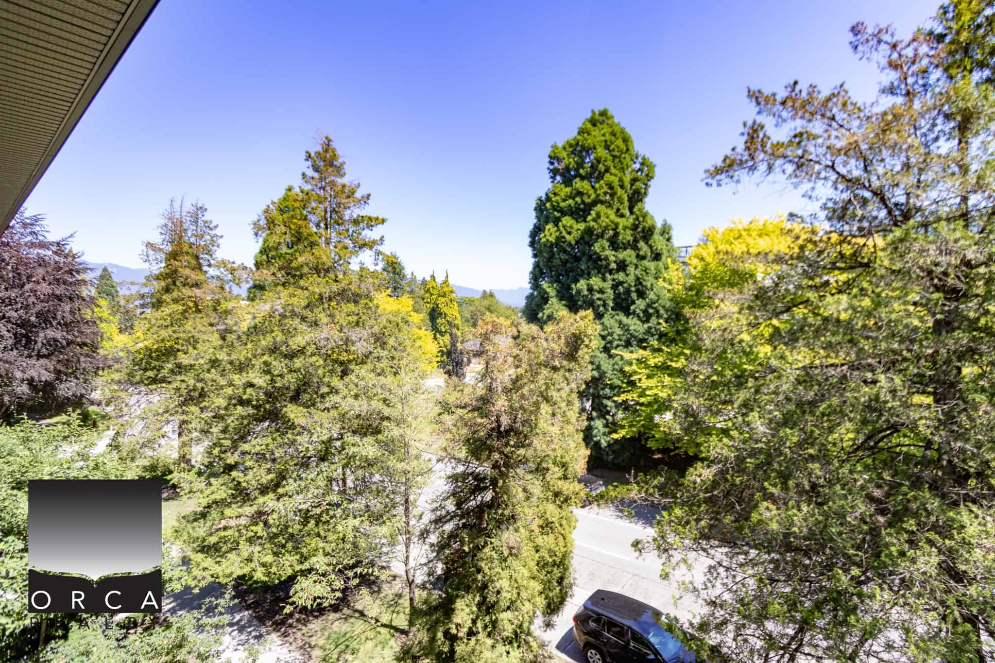 Lush green trees viewed from a balcony in a residential neighbourhood, showcasing the natural beauty and peaceful environment of Vancouver, BC. Perfect for buyers seeking a scenic property near outdoor amenities.