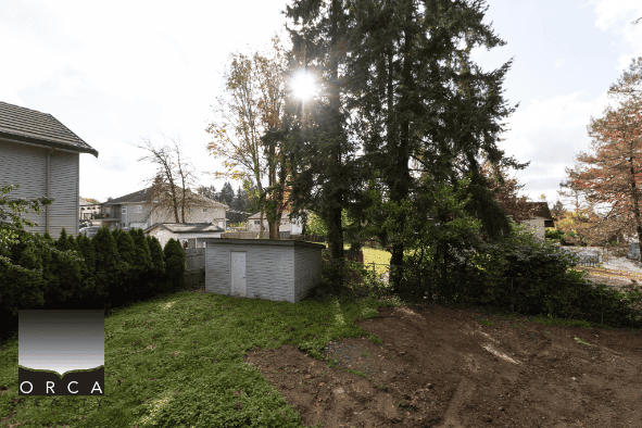 Bright backyard with mature trees and a small shed, showcasing private outdoor space in a residential area, ideal for real estate listings and property marketing.