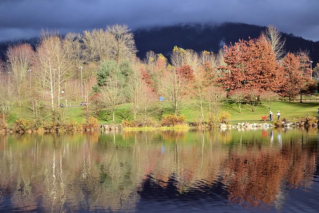 Serene lakeside park with autumn trees and reflections, perfect for outdoor recreation and scenic views in Orca Realty Inc. area.