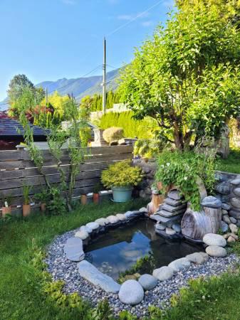 A peaceful backyard garden with a small pond surrounded by rocks, lush greenery, and vibrant plants, set against a backdrop of mountains under a clear blue sky. Perfect for relaxing outdoor living.