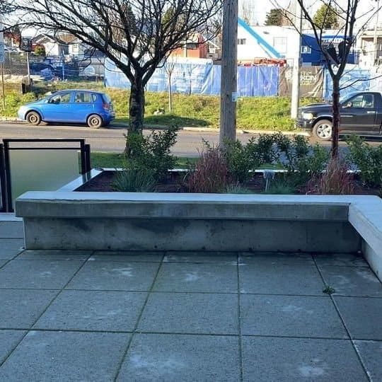 Concrete planter with greenery and city street view featuring parked cars and blue construction fencing in the background, showcasing urban outdoor space.