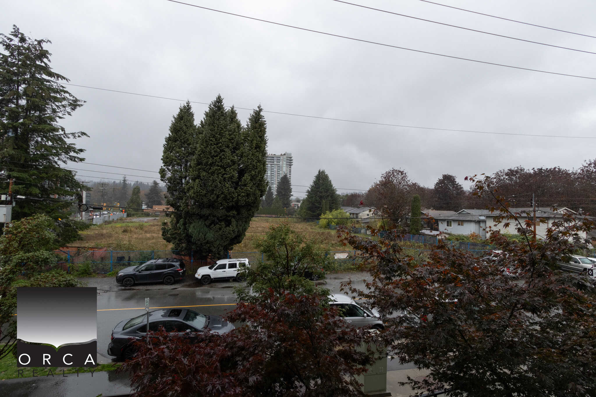 Panoramic view of a residential neighborhood with mature trees, parked cars, and overcast skies, showcasing Vancouver area real estate opportunities.