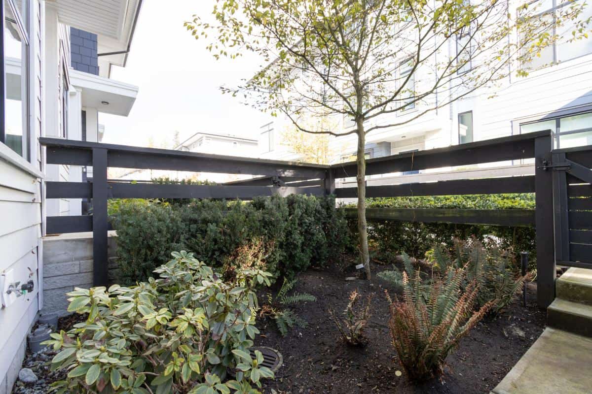 Clay-ground-cover-and-succulents-in-yard-surrounded-by-black-wooden-fence-for-Homes-in-Vancouver-BC.