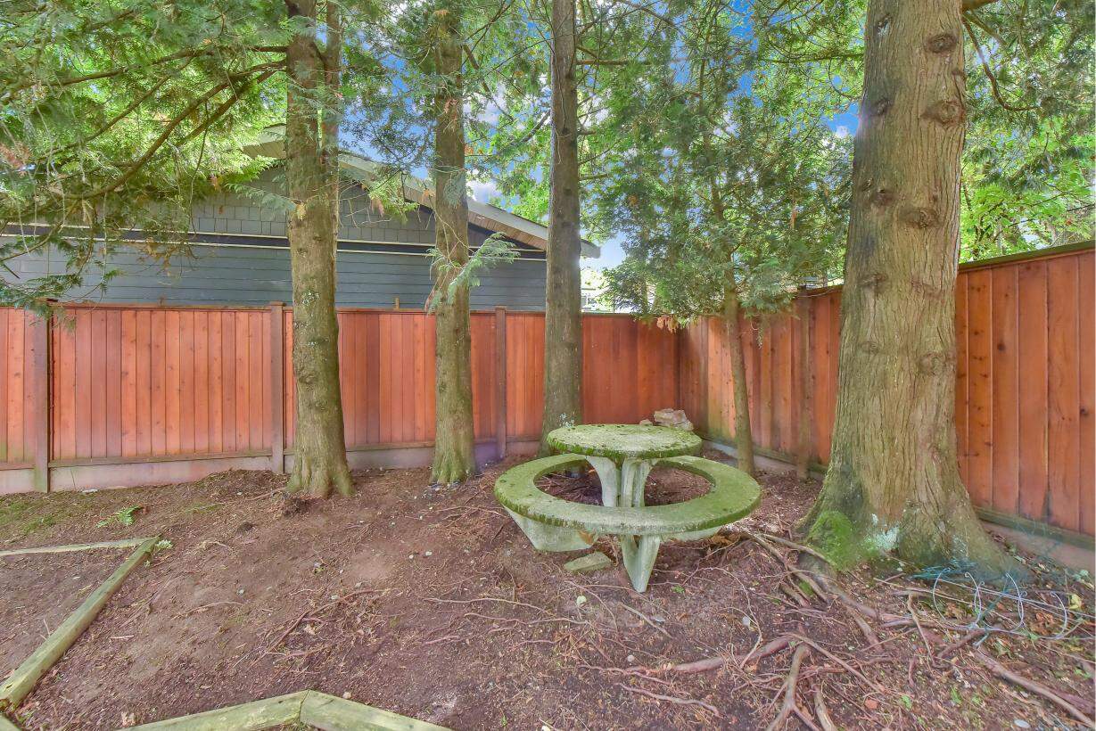 Lush backyard with mature trees, wooden privacy fence, and moss-covered stone picnic table, ideal for outdoor living and relaxation in a peaceful residential setting.
