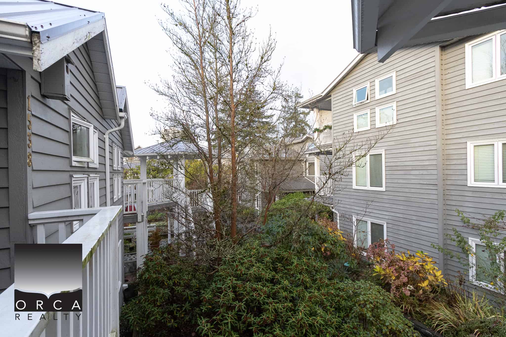 Lush backyard garden with mature trees and shrubs between two modern, grey townhouses, perfect for outdoor living and privacy.