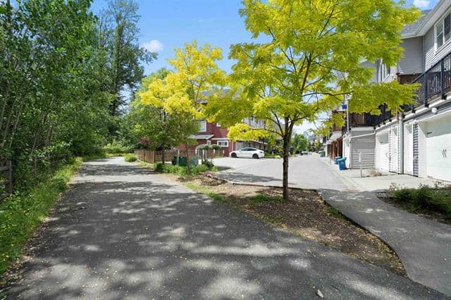 Lush green trees lining a suburban street with residential houses, showcasing Vancouver’s vibrant community and beautiful outdoor spaces.