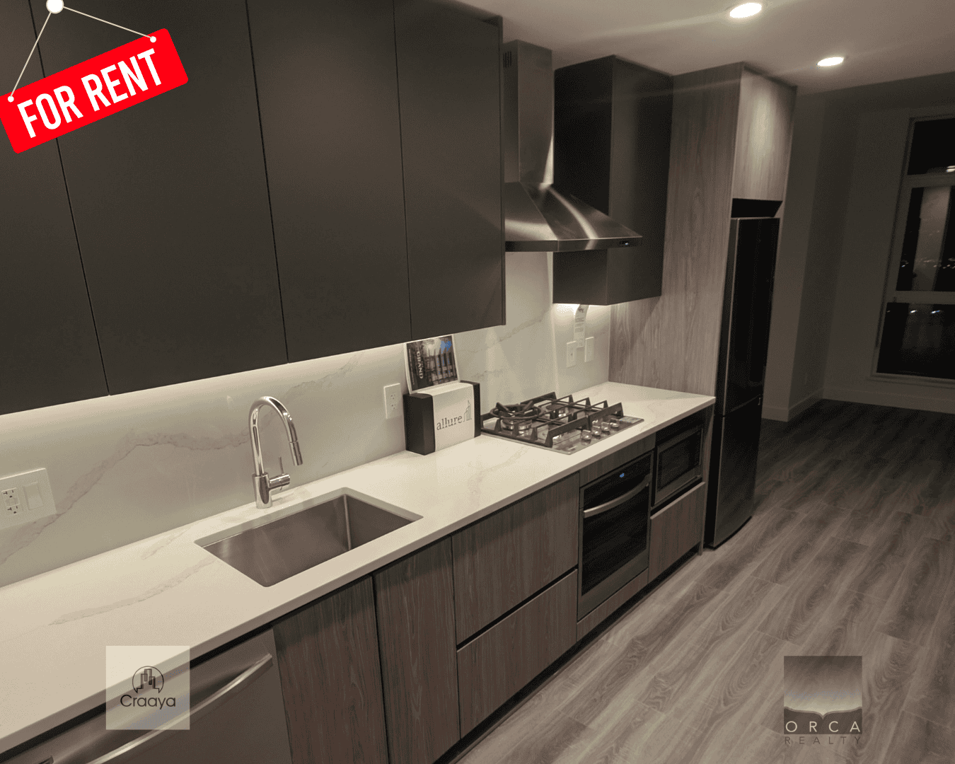 Modern contemporary kitchen with sleek dark cabinetry, stainless steel appliances, and a minimalist design, perfect for rental or sale in Ontario.