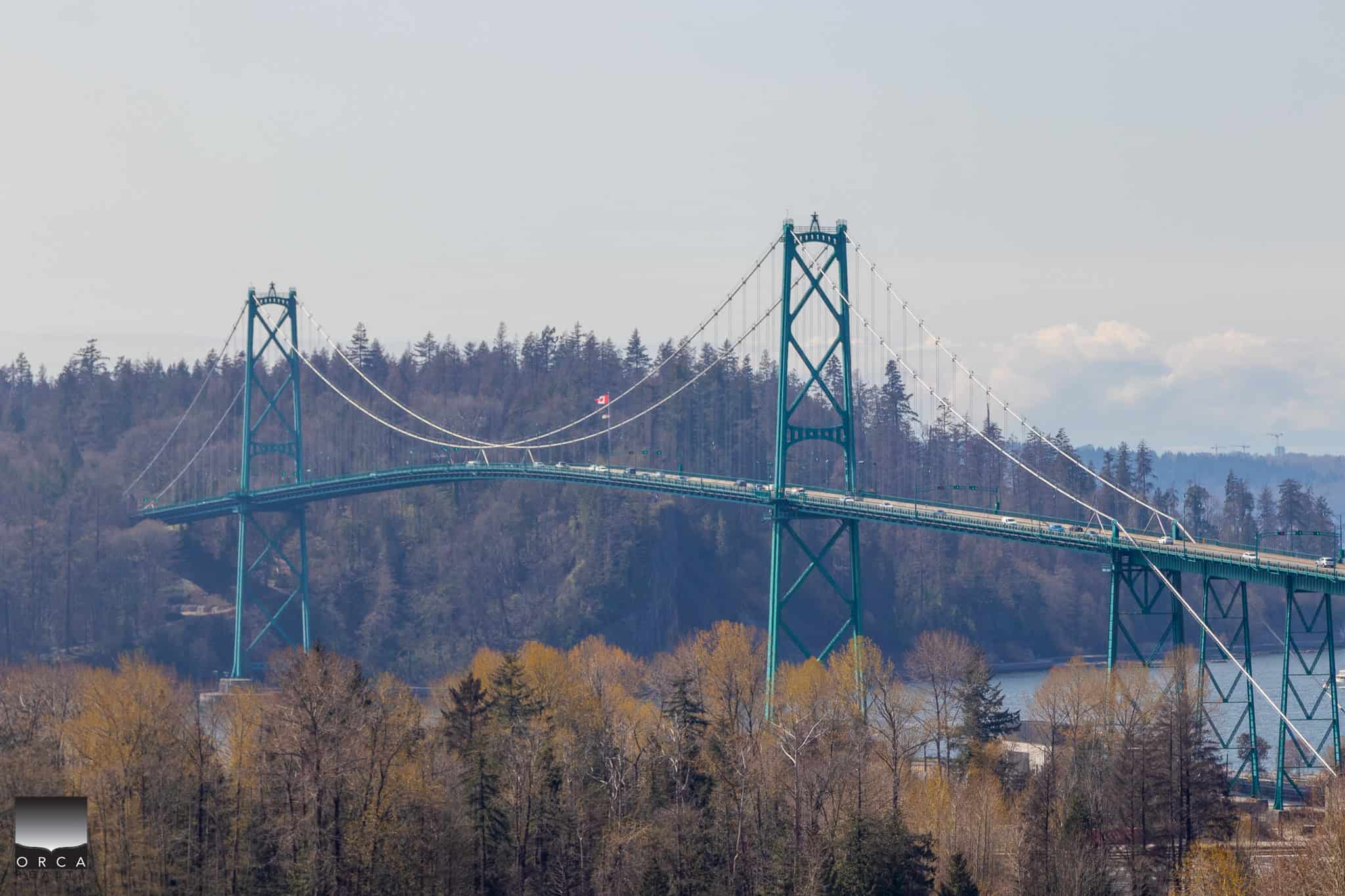 Midtown Vancouver suspension bridge with scenic trees and water in the background, showcasing beautiful architecture and natural surroundings.