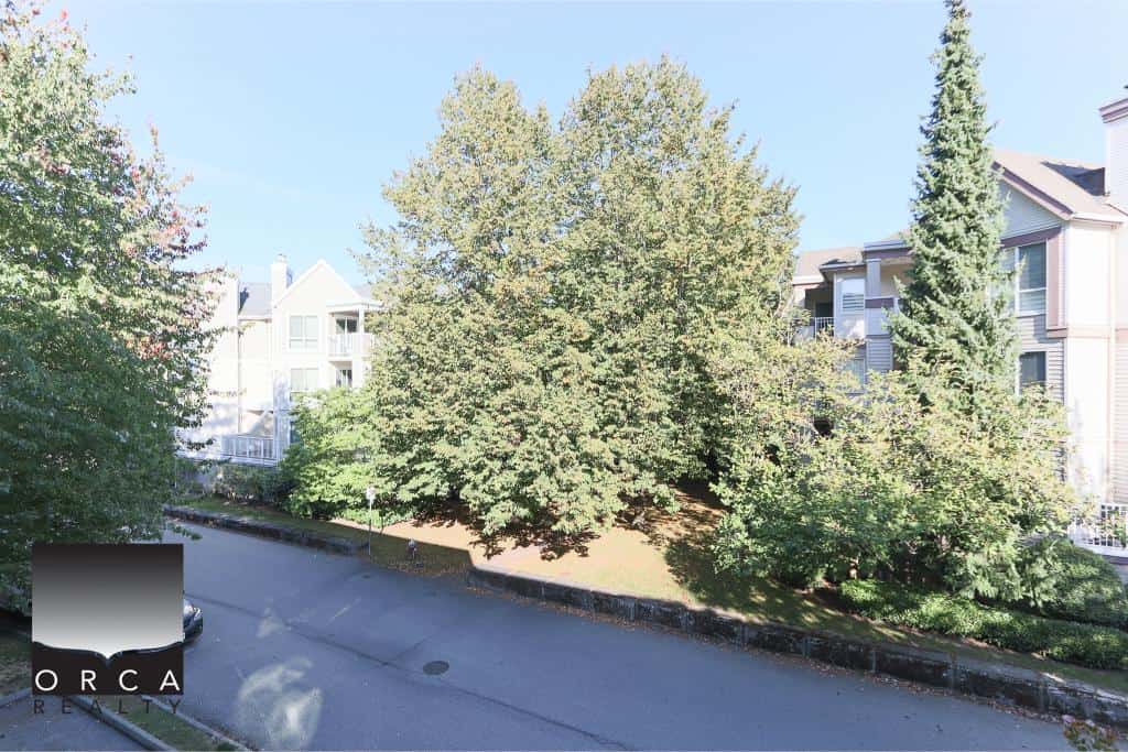 Lush trees in front of a modern apartment complex in a residential neighborhood, showcasing the natural beauty and greenery emphasized by Orca Realty Inc.