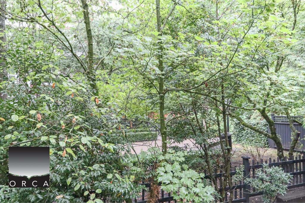 Lush green trees and foliage in a serene residential backyard, ideal for outdoor living and relaxation, with a black wooden fence border.