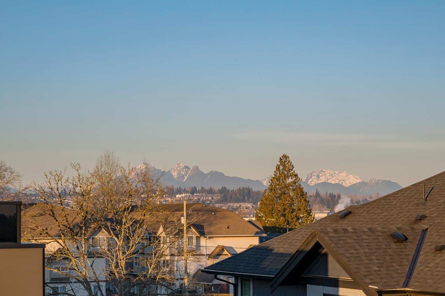 Panoramic view of residential neighbourhood with snow-capped mountains in the background, showcasing Orca Realty Inc.'s scenic real estate listings in the Vancouver area.