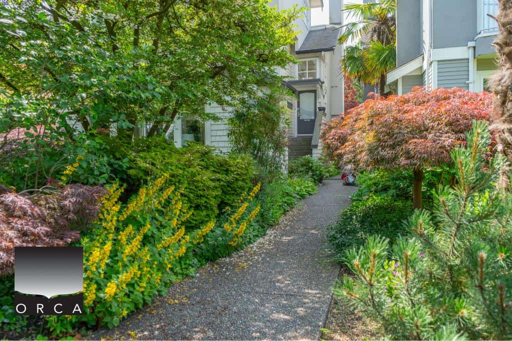 Lush garden pathway leading to a modern residential home, showcasing vibrant plants and trees, emphasizing beautiful landscaping with Orca Realty Inc. expertise in Vancouver real estate.