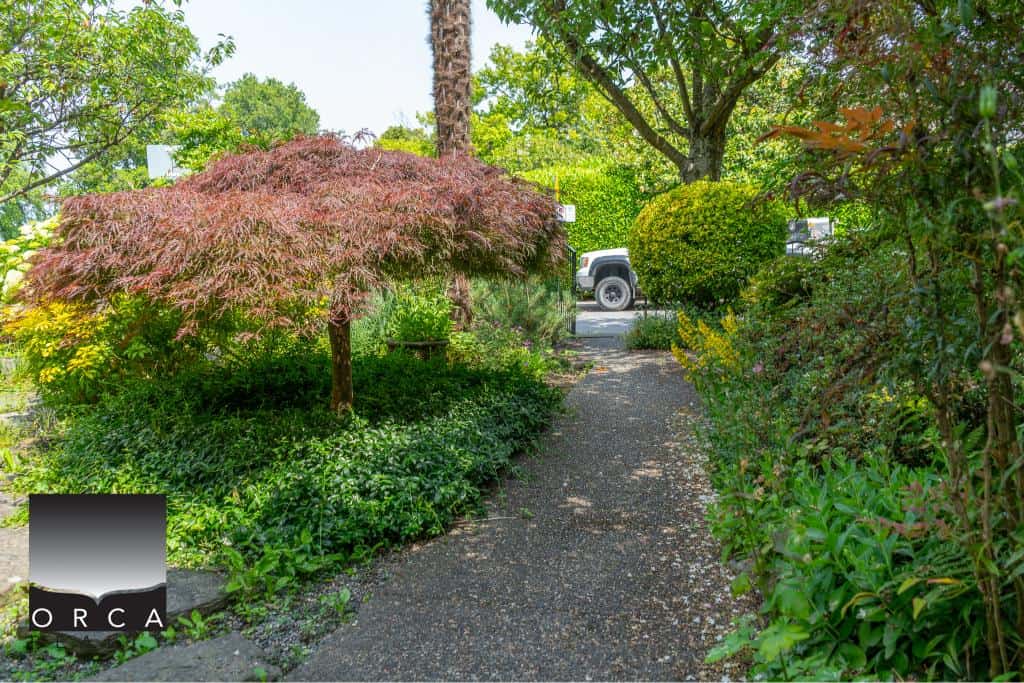 Lush garden pathway with vibrant trees and greenery, leading to a street with parked cars, showcasing tranquil outdoor space and landscape design for residential properties.