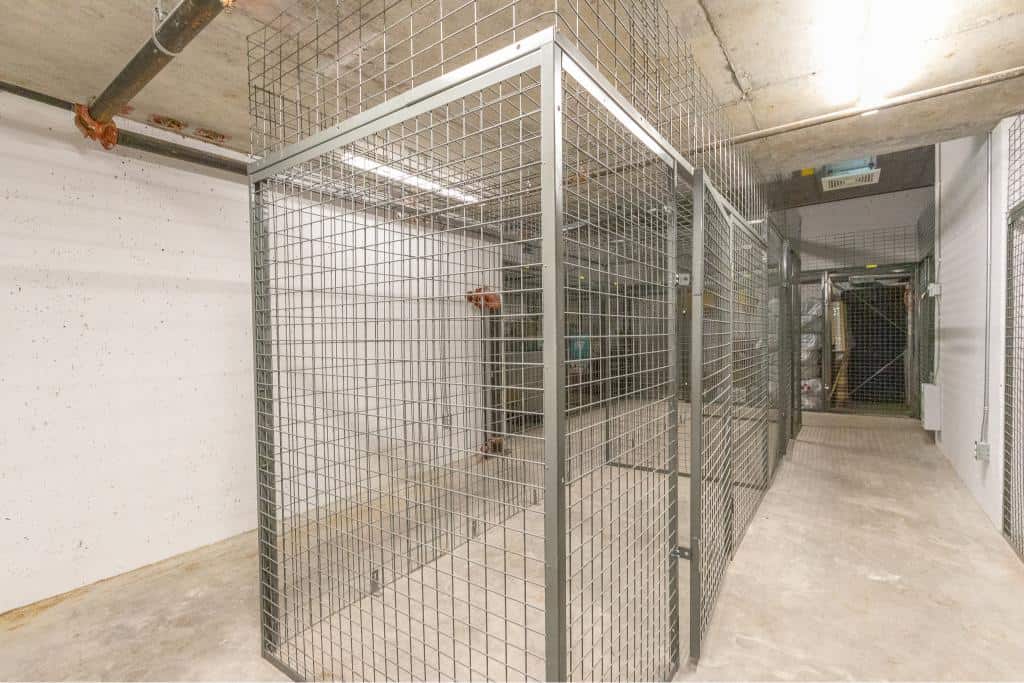 Metal dog kennels in a secure indoor facility at Orca Realty Inc. in British Columbia. Suitable for pet boarding or animal care services. Perfectly captures professional kennel setup.