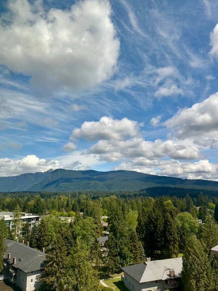 Vibrant mountain views overlooking a residential neighbourhood with lush green trees and clear blue skies, showcasing the scenic beauty of real estate opportunities in BC.