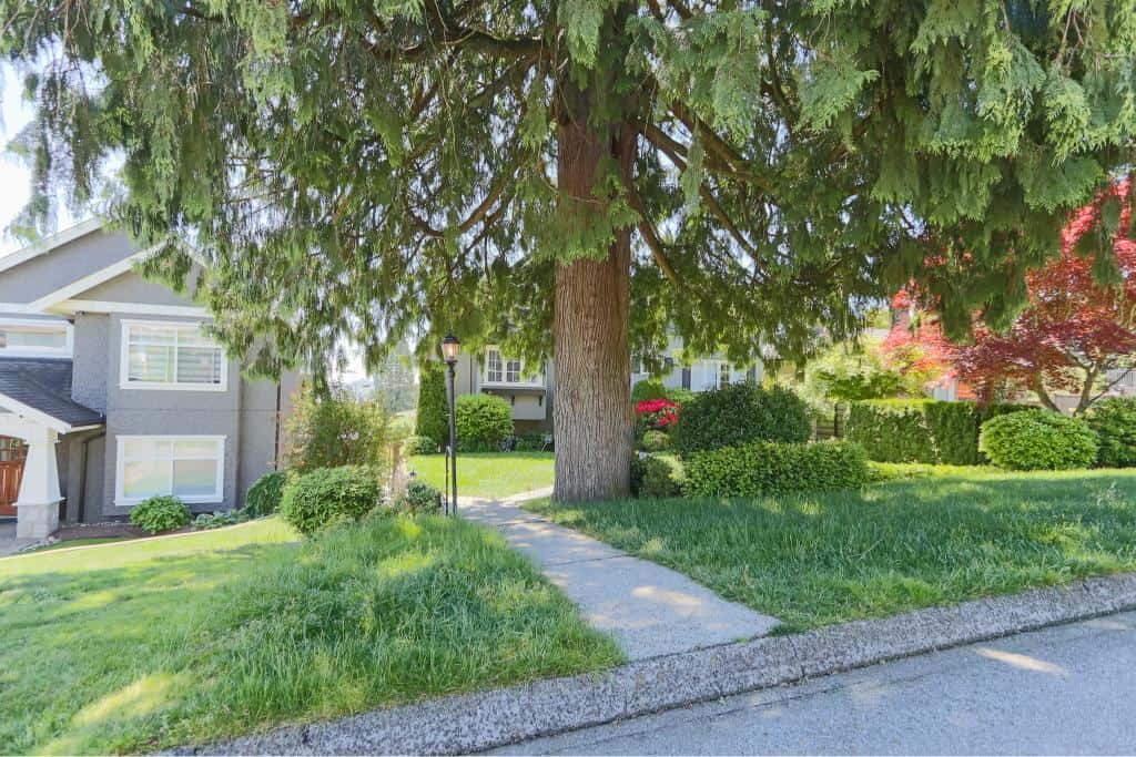 Lush residential neighborhood with mature trees, manicured lawns, and charming homes in Campbell River, BC, showcasing the natural beauty and community appeal of Orca Realty Inc.