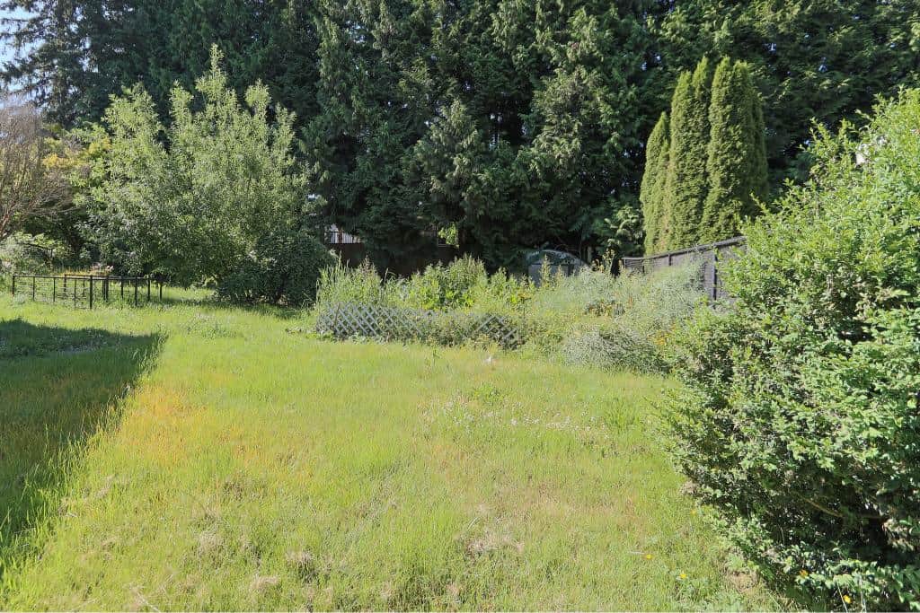 Lush green backyard with mature trees and well-maintained landscaping, ideal for outdoor living in Vancouver.