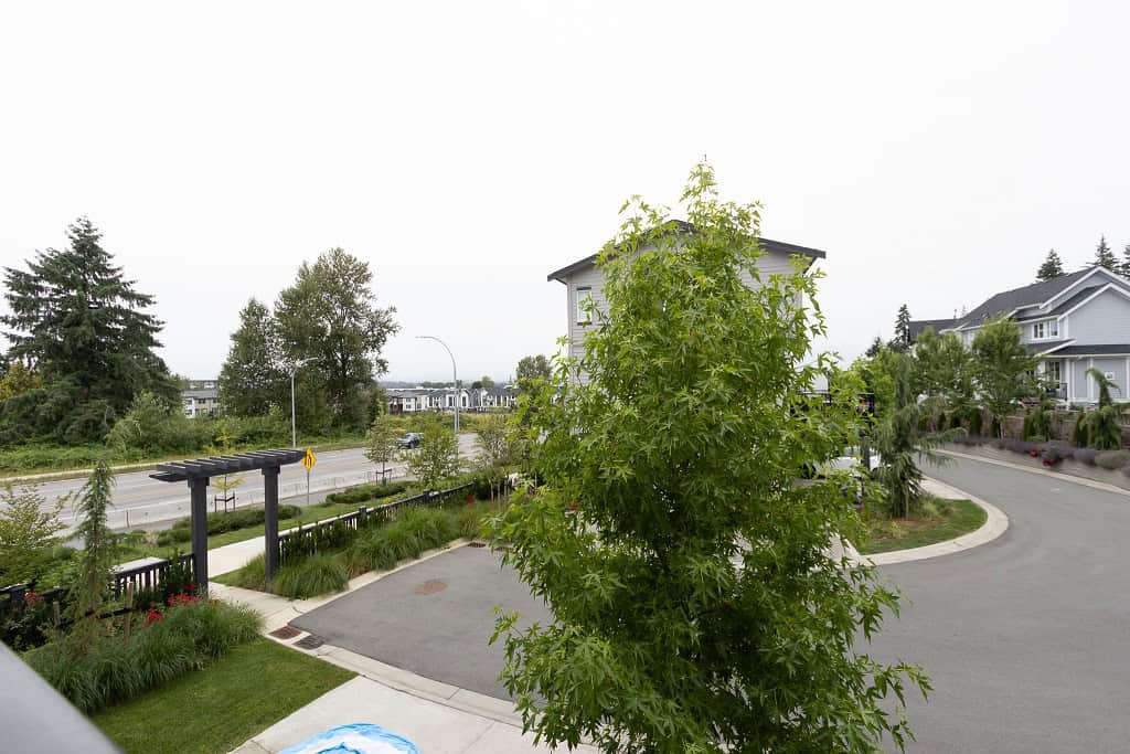 Lush green trees and modern residential neighborhood in Vancouver, British Columbia, with a landscaped street view, showcasing quality real estate and community living in Canada.
