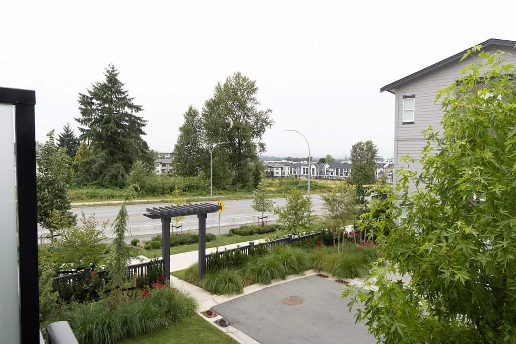 Lush green garden view from a residential property in Vancouver, BC, showcasing modern landscaping, trees, and outdoor space, perfect for homeowners seeking property in West Vancouver.