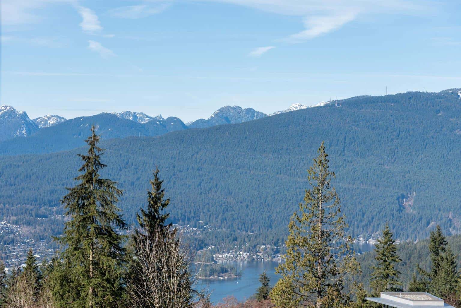 Spectacular mountain view with lush green forest, distant snow-capped peaks, and a serene lake, ideal for real estate opportunities on Vancouver Island.