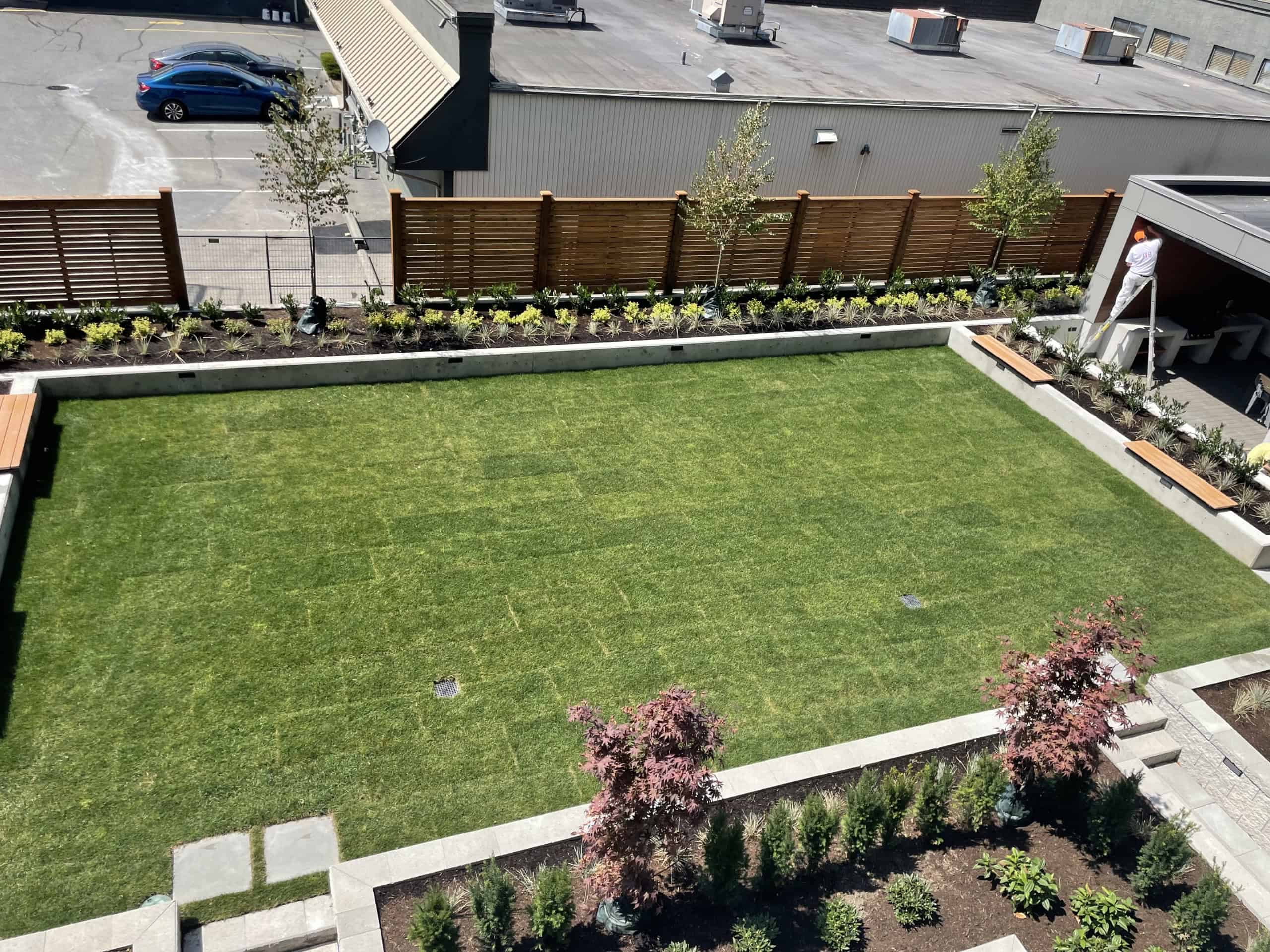 IMG_0365 Lush green backyard lawn with landscaped garden beds and wooden fencing, showing a modern outdoor space, perfect for relaxation and entertaining, underscoring professional real estate services by Orca Realty Inc.