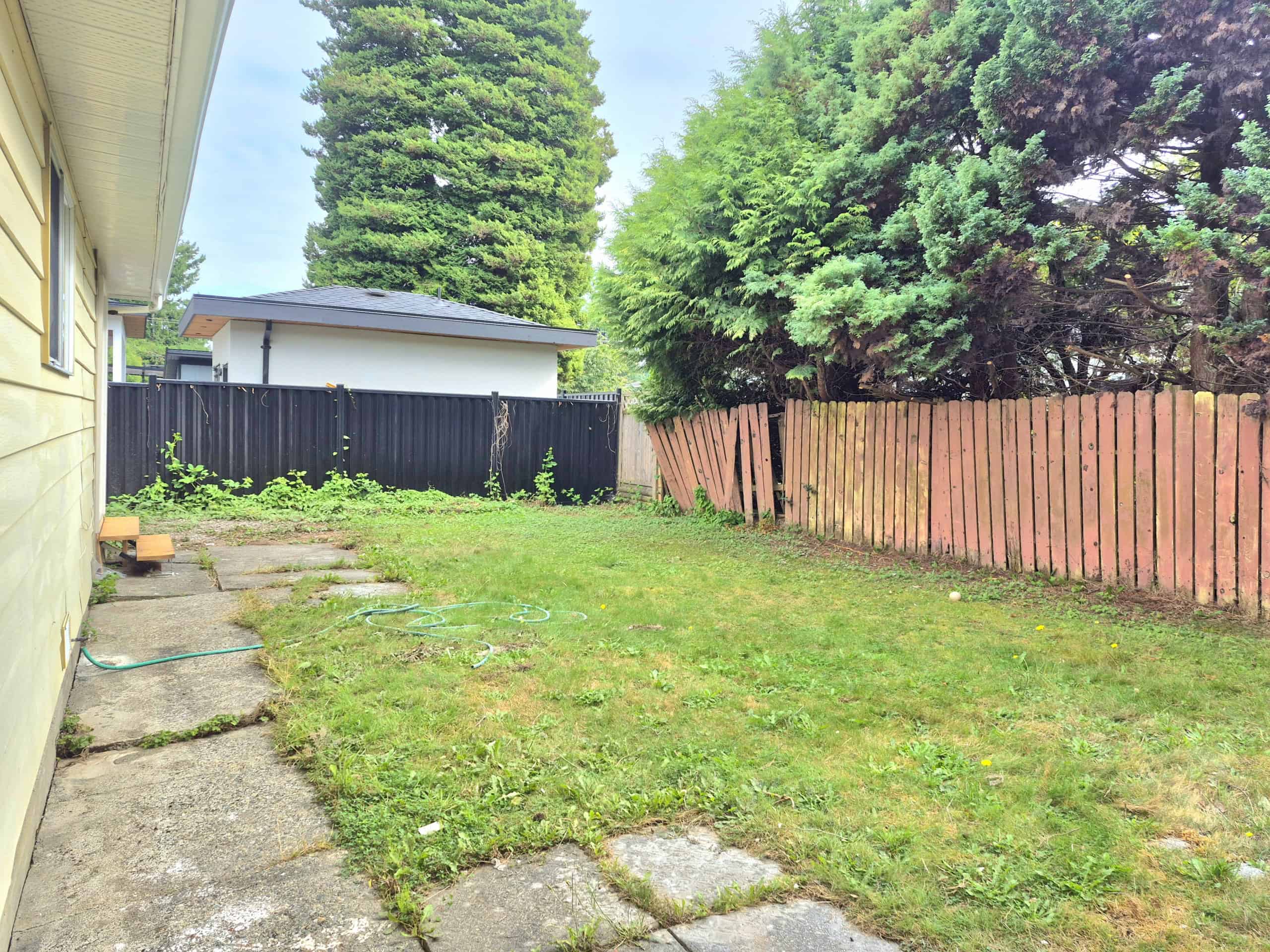 20250920_142136 Spacious backyard with lush green grass, mature trees, and a wooden fence, ideal for outdoor activities and gardening, located in a peaceful neighbourhood in Victoria, BC.