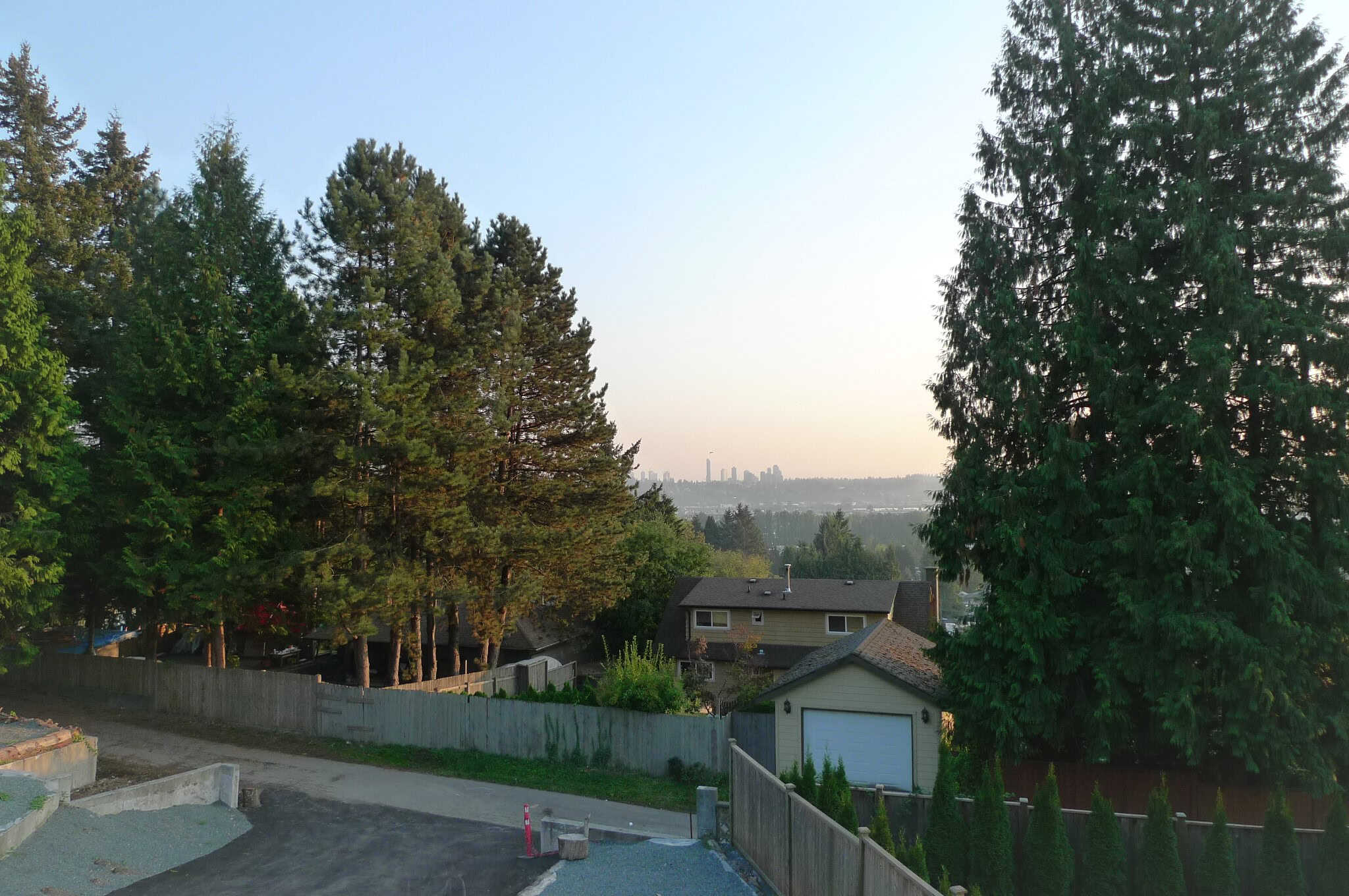 Lush green trees and a residential neighborhood overlooking the city skyline in the distance, showcasing peaceful Vancouver real estate and the natural beauty of the area.