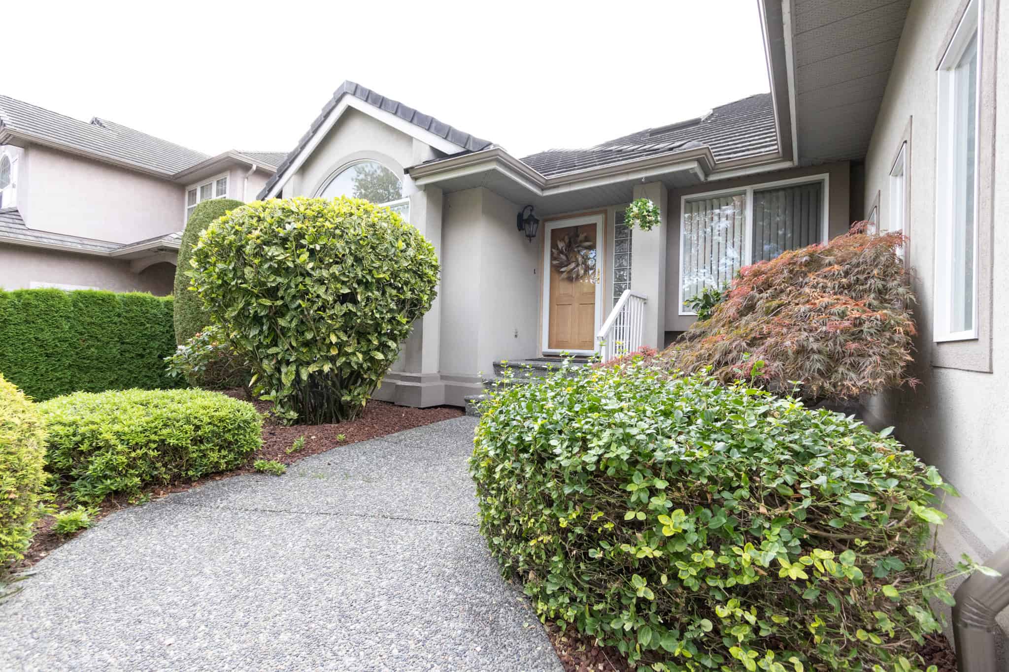 Lush front garden with well-maintained shrubs and plants in front of a modern house exterior.