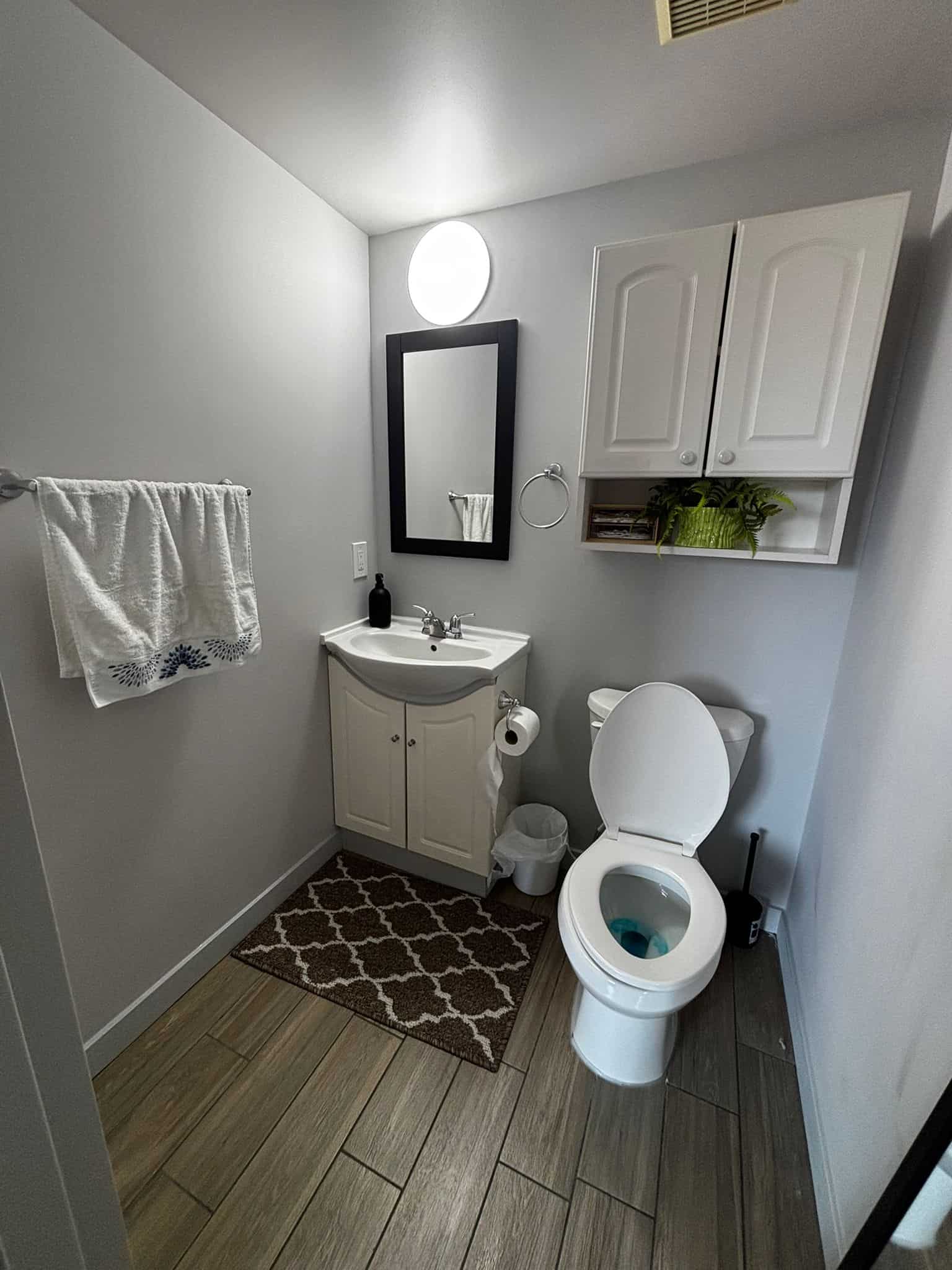 Modern small bathroom with white vanity, wall-mounted cabinet, and stylish decor, featuring a toilet, mirror, towel rack, and wood-look tile flooring, ideal for Vancouver Island homes.