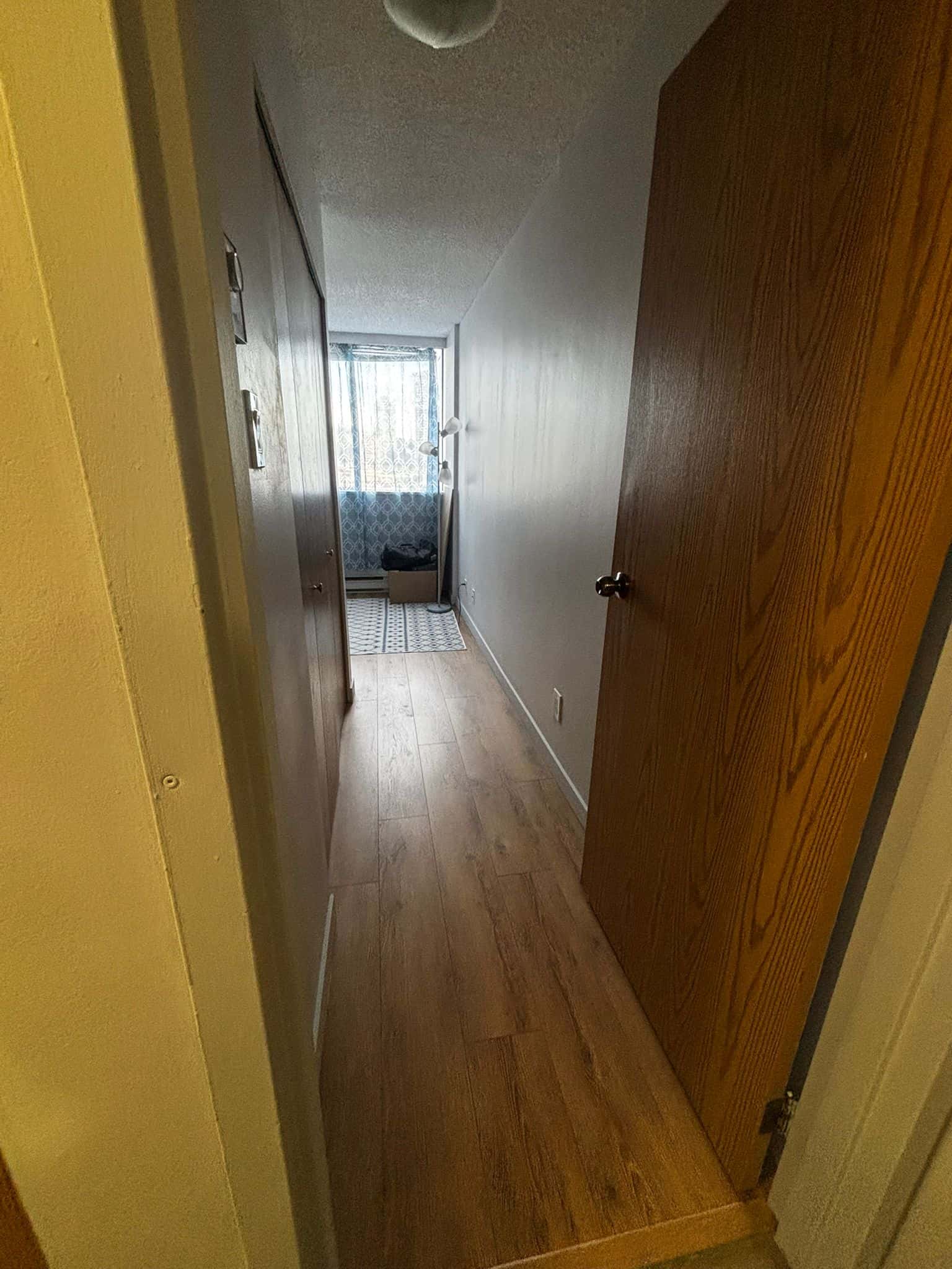 Bright hallway leading to a sunlit living space with hardwood flooring, beige walls, wooden closet doors, and a large window with patterned curtains, showcasing a cozy and inviting interior.