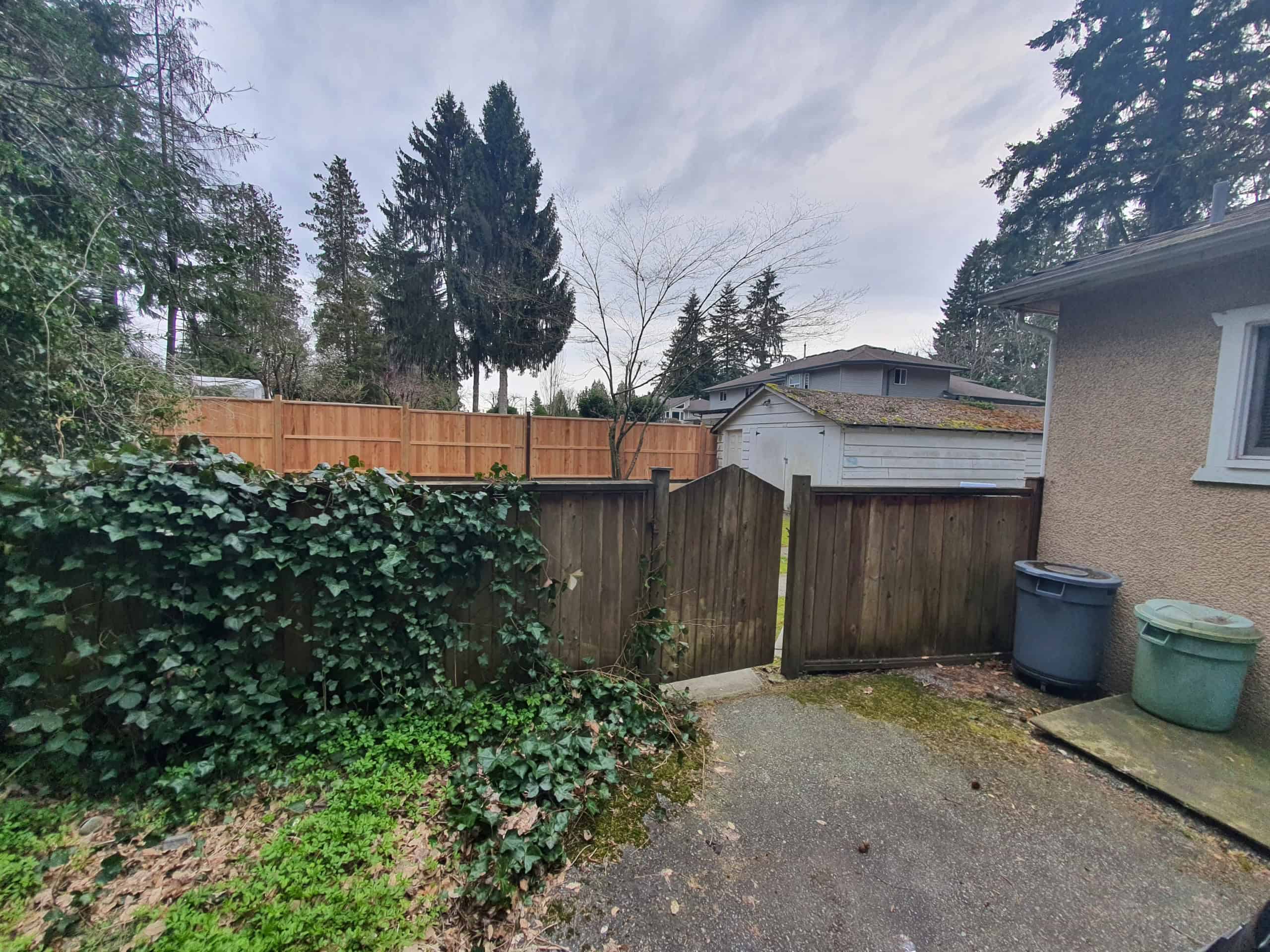 Fenced backyard with mature trees, evergreen shrubbery, and outdoor storage shed, perfect for Vancouver Island real estate buyers looking for privacy and outdoor space.