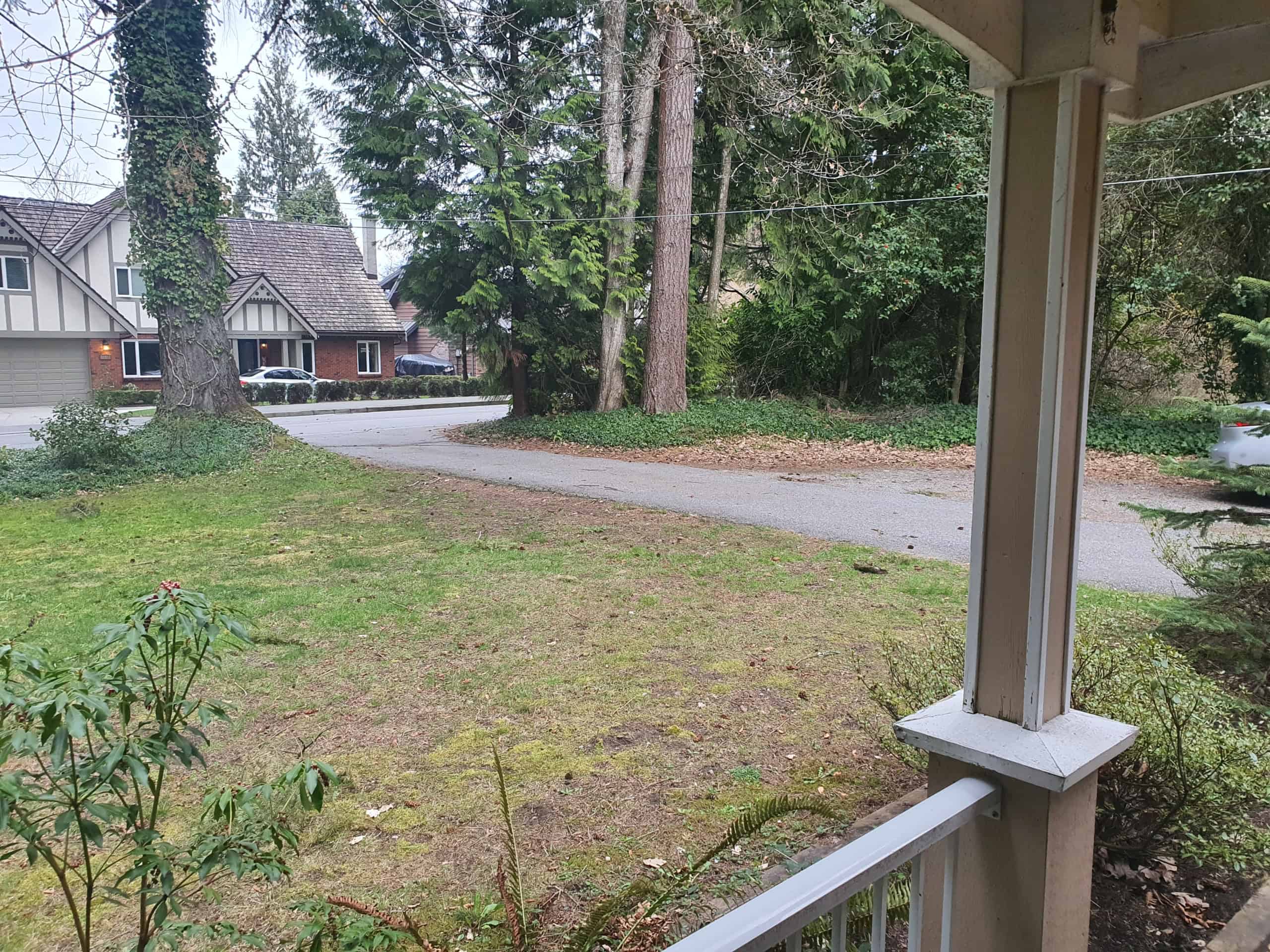 Lush front yard greenery with mature trees in a suburban neighbourhood, view from a front porch.