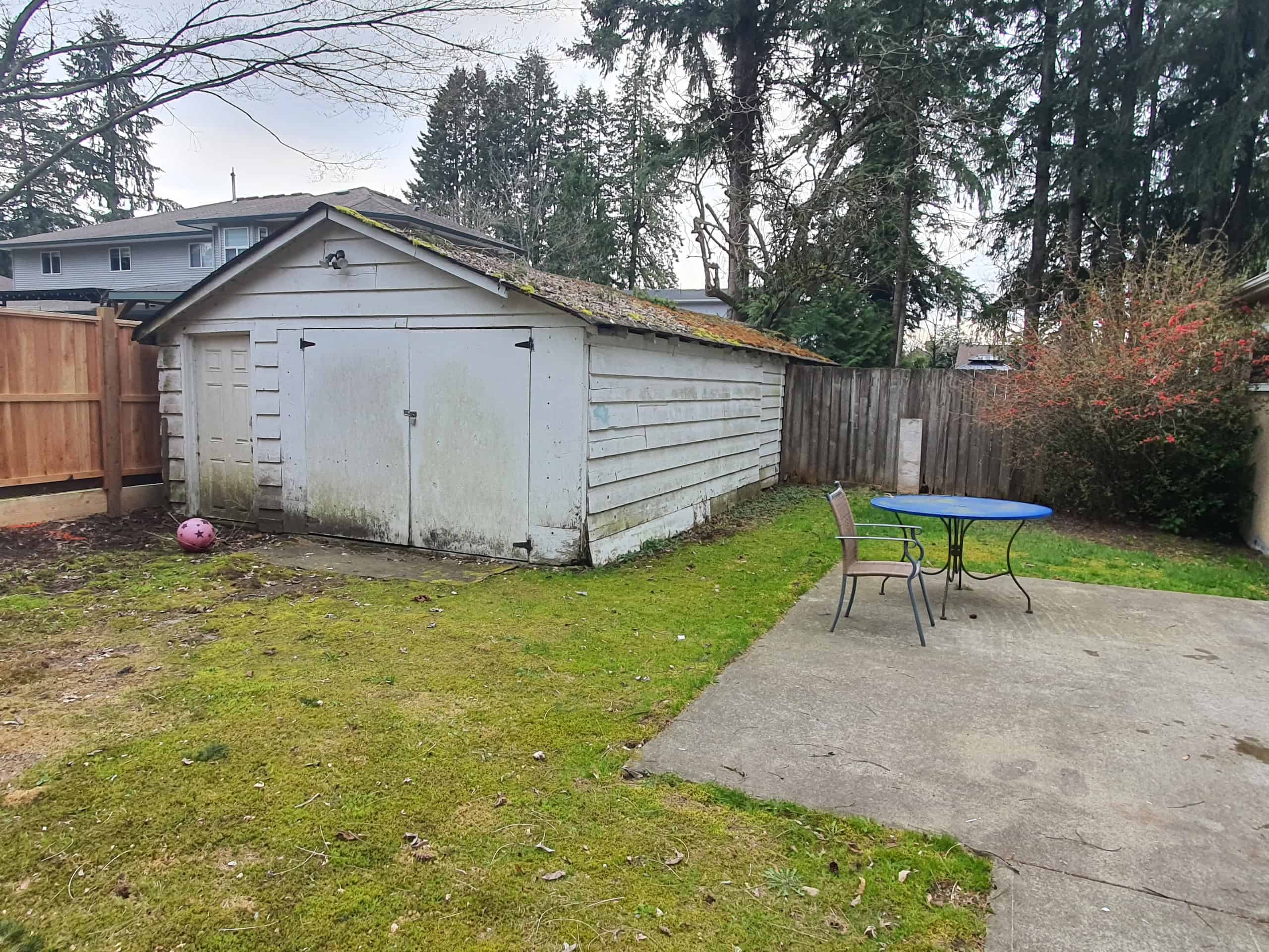 Rustic backyard shed with weathered white wooden siding, moss-covered roof, and surrounding lush greenery, perfect for storage or garden use in a residential property.