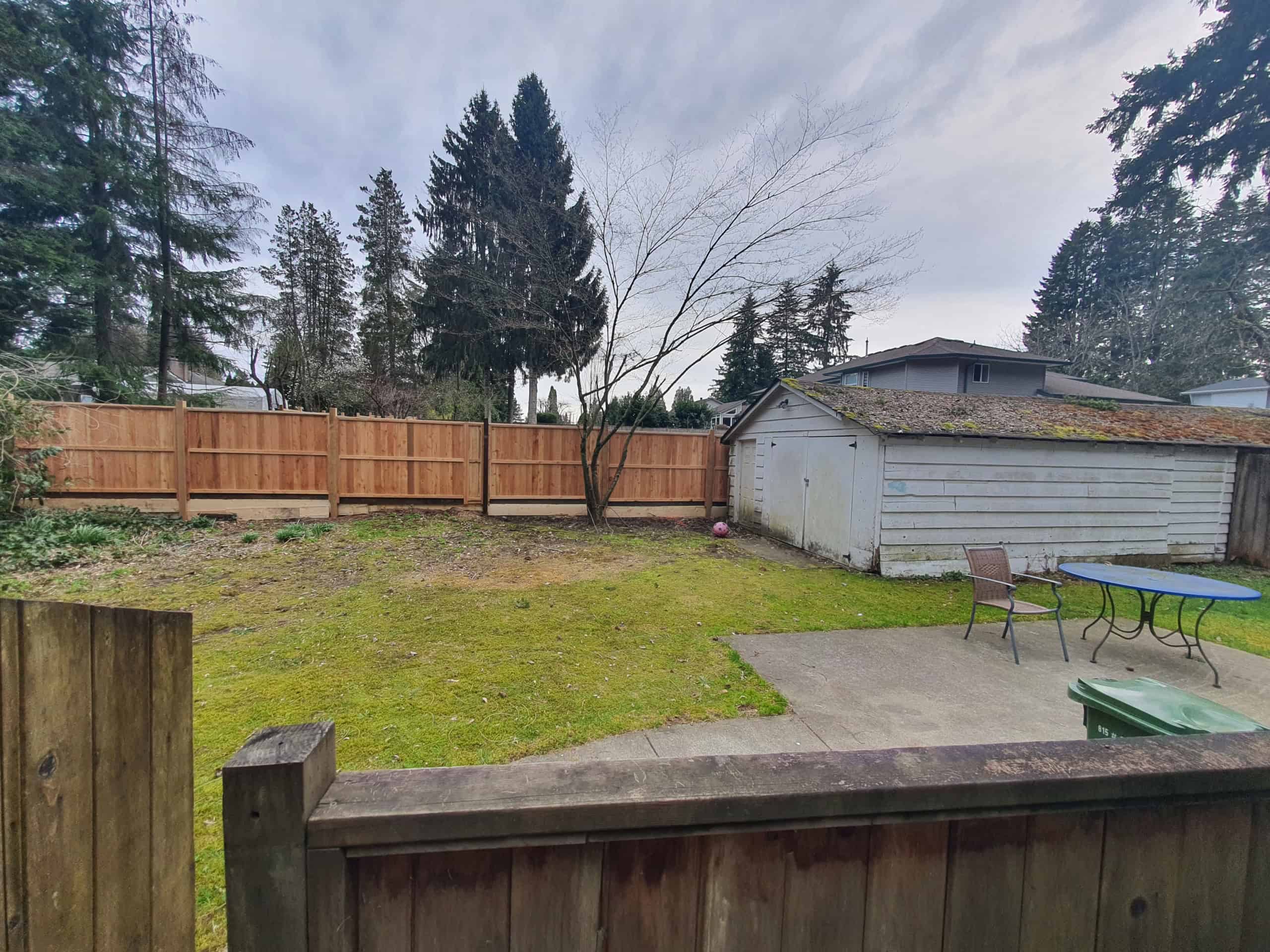 Spacious backyard with a wooden fence, mature trees, a small shed with moss on the roof, a patio area with outdoor furniture, surrounded by lush greenery in British Columbia.