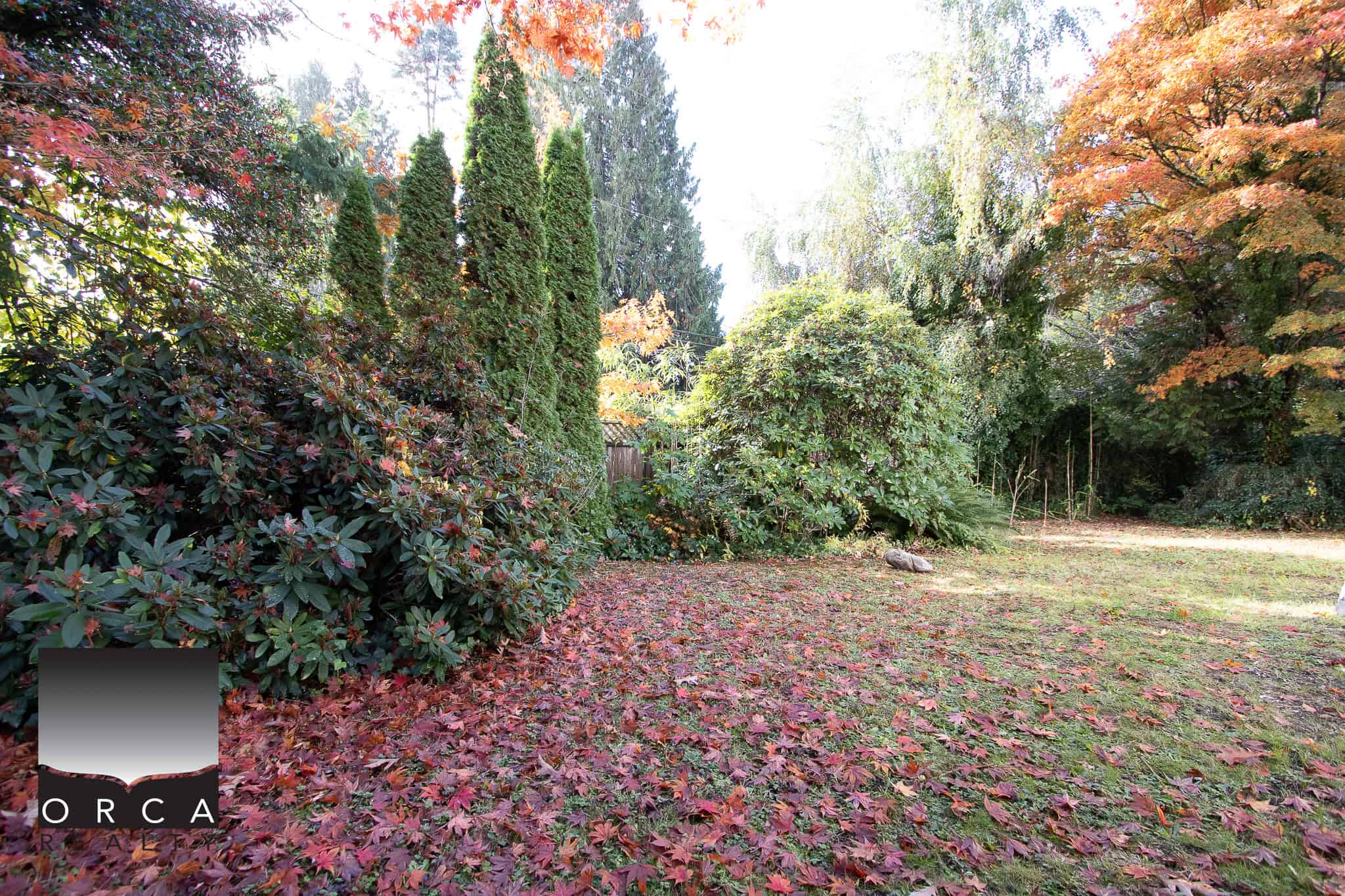 Lush backyard garden with mature trees and vibrant autumn foliage, perfect for outdoor living and real estate investment in Vancouver.