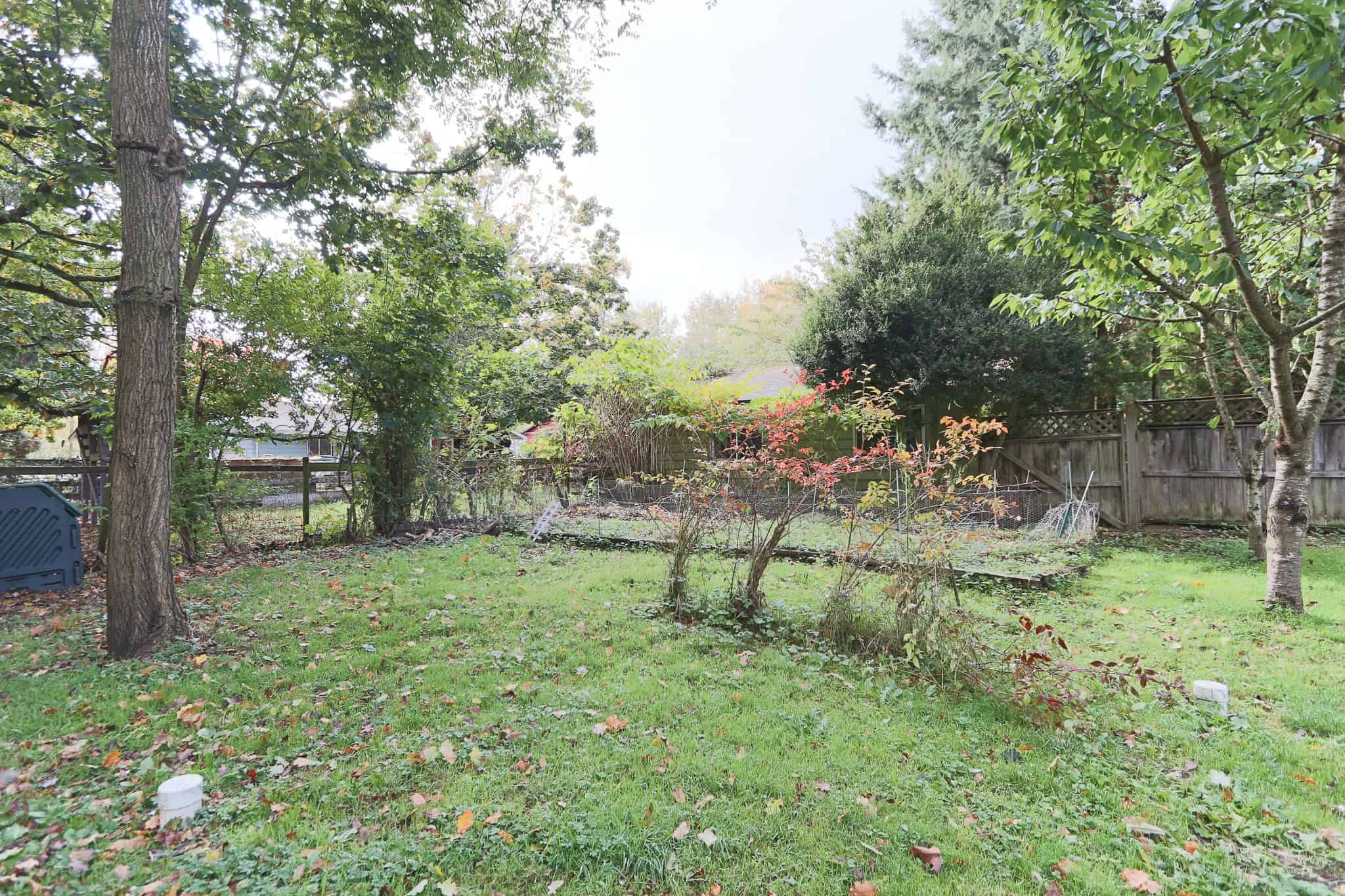 Lush backyard garden with mature trees, blooming plants, and a wooden fence, perfect for outdoor living and real estate investment in Victoria, BC.