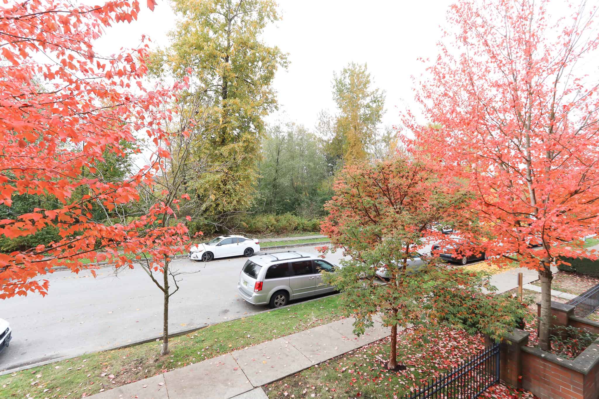 Vibrant fall foliage in a residential neighborhood with parked cars, showcasing the scenic and peaceful environment of properties listed by Orca Realty Inc. in Ontario, ideal for buyers seeking picturesque views.
