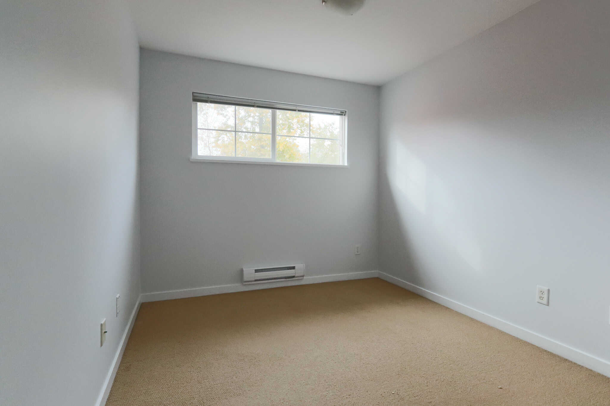Bright empty bedroom with a large window, neutral beige carpet, and white walls, ideal for Vancouver Island real estate listings focusing on rental or sale properties.